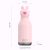 Botella Asobu Bestie 460 ml