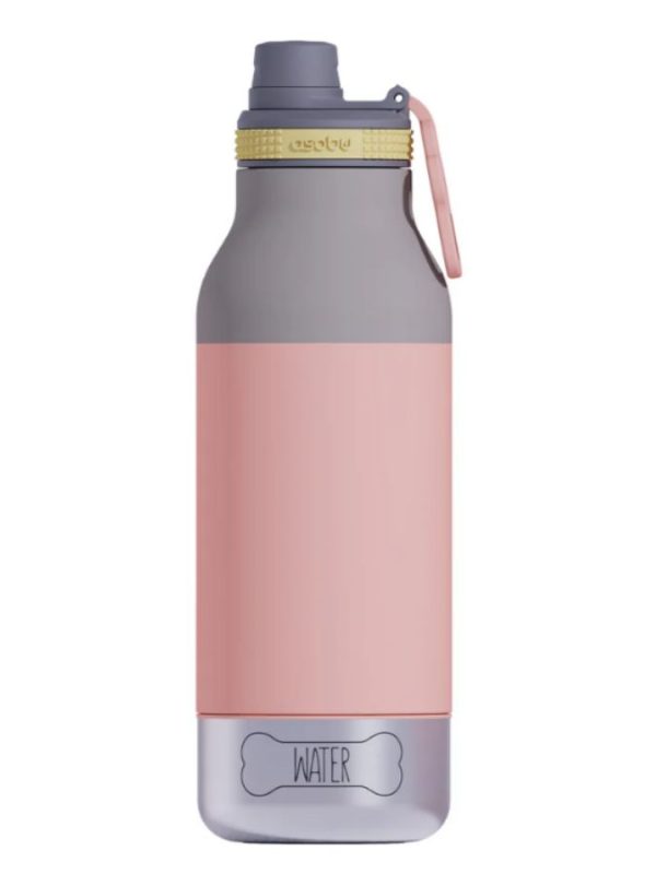 Buddy-PASTELH Botella Asobu Buddy Puramic 1L